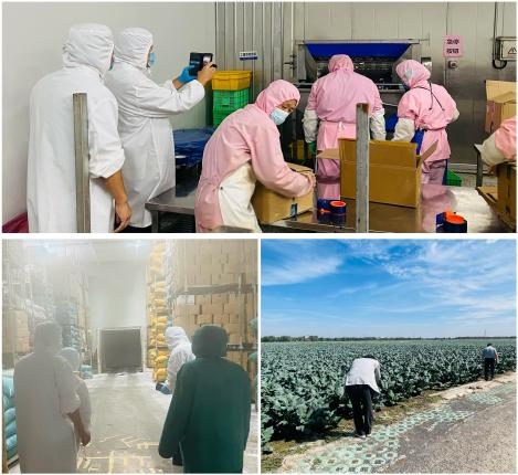 韓國客戶如期進行年度訪問